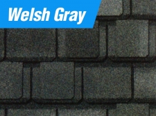 Welsh Gray